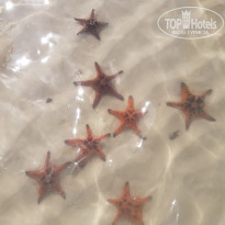 фото из отзыва ID 2107611