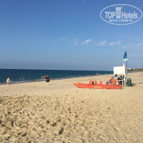 фото из отзыва ID 2107838