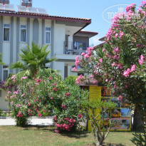 фото из отзыва ID 2107873