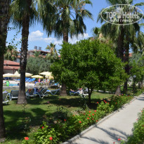 фото из отзыва ID 2107873