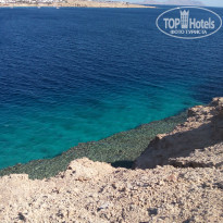 фото из отзыва ID 2107893