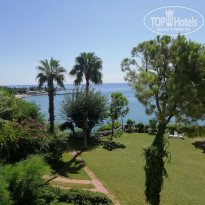 фото из отзыва ID 2108113