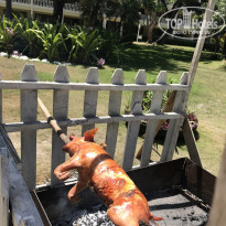 фото из отзыва ID 2108168