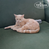 фото из отзыва ID 2108240