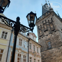 фото из отзыва ID 2108219