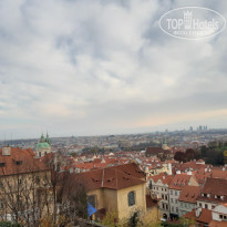 фото из отзыва ID 2108219