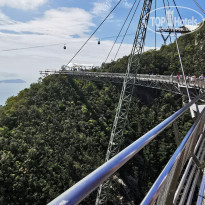 фото из отзыва ID 2108324