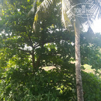 фото из отзыва ID 2108316