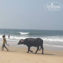 фото из отзыва ID 2108316