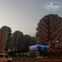 фото из отзыва ID 2108338