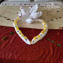 фото из отзыва ID 2108400