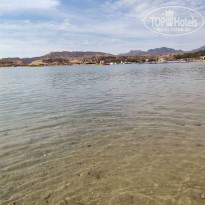 фото из отзыва ID 2108400