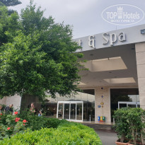 фото из отзыва ID 2108460