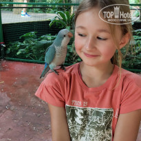 фото из отзыва ID 2108525