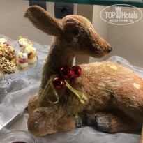 фото из отзыва ID 2106777