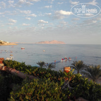 фото из отзыва ID 2108618