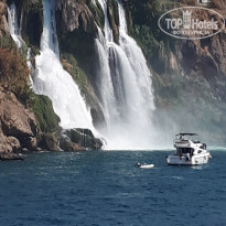 фото из отзыва ID 2108642