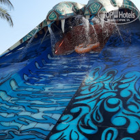 фото из отзыва ID 2108661