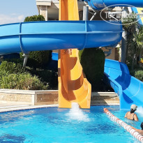 фото из отзыва ID 2108661