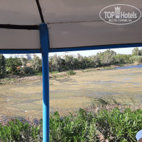 фото из отзыва ID 2108661