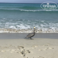 фото из отзыва ID 2108712