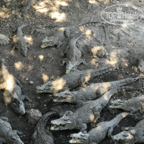 фото из отзыва ID 2108712