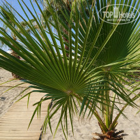 фото из отзыва ID 2108731