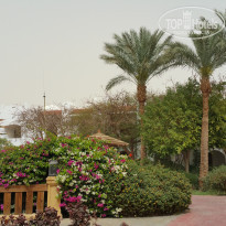 фото из отзыва ID 2108734