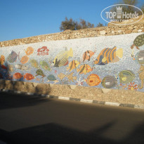 фото из отзыва ID 2108772