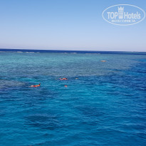 фото из отзыва ID 2108800