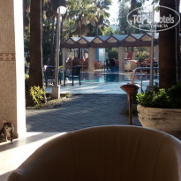 фото из отзыва ID 2108901