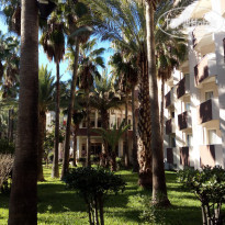 фото из отзыва ID 2108901