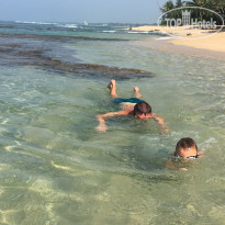 фото из отзыва ID 2108926