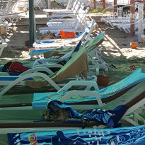 фото из отзыва ID 2108809