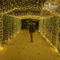 фото из отзыва ID 2108990