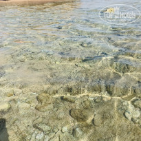 фото из отзыва ID 2109035