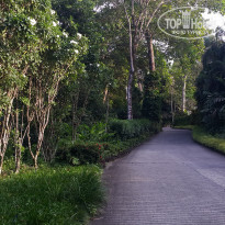 фото из отзыва ID 2108982