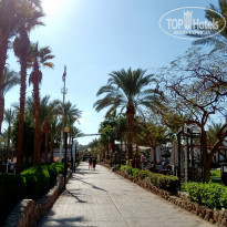 фото из отзыва ID 2109100