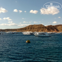 фото из отзыва ID 2109100