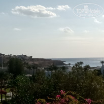 фото из отзыва ID 2109100