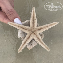 фото из отзыва ID 2109165