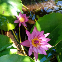 фото из отзыва ID 2109203