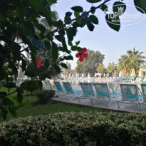 фото из отзыва ID 2109227