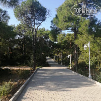 фото из отзыва ID 2109227