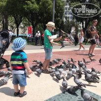 фото из отзыва ID 2109272