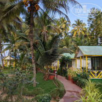 фото из отзыва ID 2109029