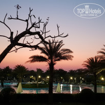 фото из отзыва ID 2108248