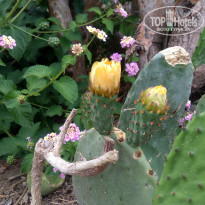 фото из отзыва ID 2109466