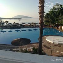 фото из отзыва ID 2109466