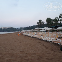 фото из отзыва ID 2109549